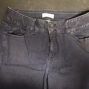 Lane Bryant Women's High Rise Indigo Jeans